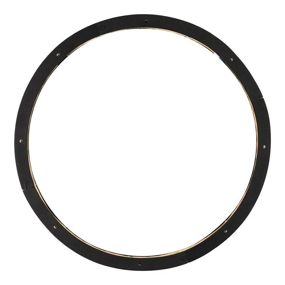 LRING15 RGB LED Ring for Speaker and Subwoofers - Image 4